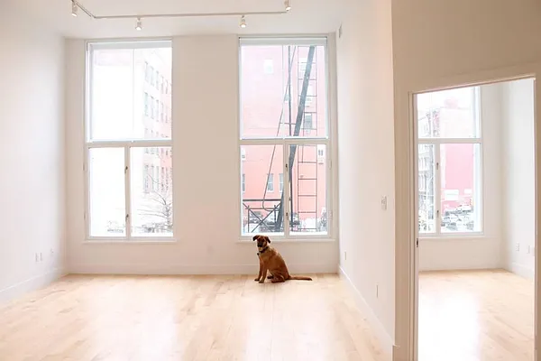 Rented by Level Group | media 49