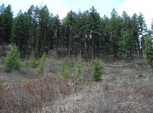 Tbd Long Alec Creek Rd, Curlew, WA 99118