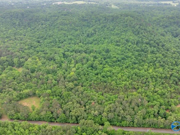 6153 Browns Valley Rd, Guntersville, AL 35976