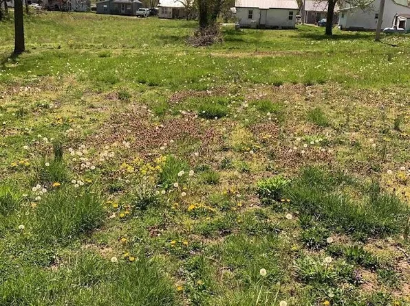 642 W 1st Street, Mountain Grove, MO 65711