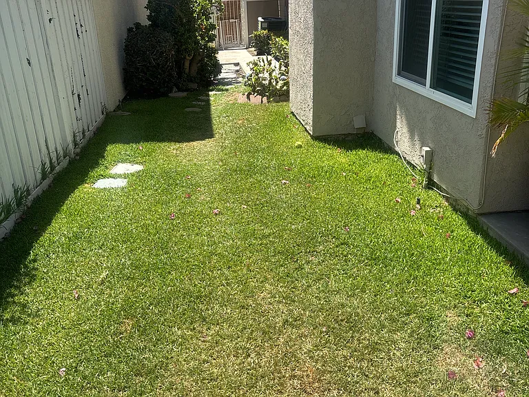 2404 Camino Ancla — Photo 10