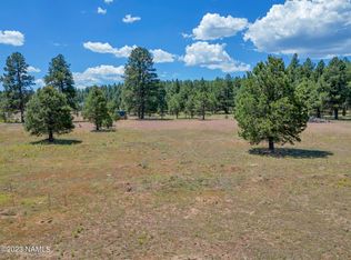 131 High Meadow Ln, Flagstaff, AZ 86005