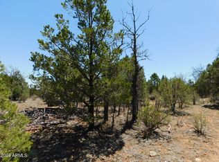 3517 Sunset Ridge Loop LOT 163, Happy Jack, AZ 86024