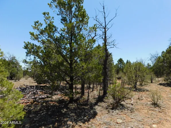 3517 SUNSET RIDGE Loop #163, Happy Jack, AZ 86024