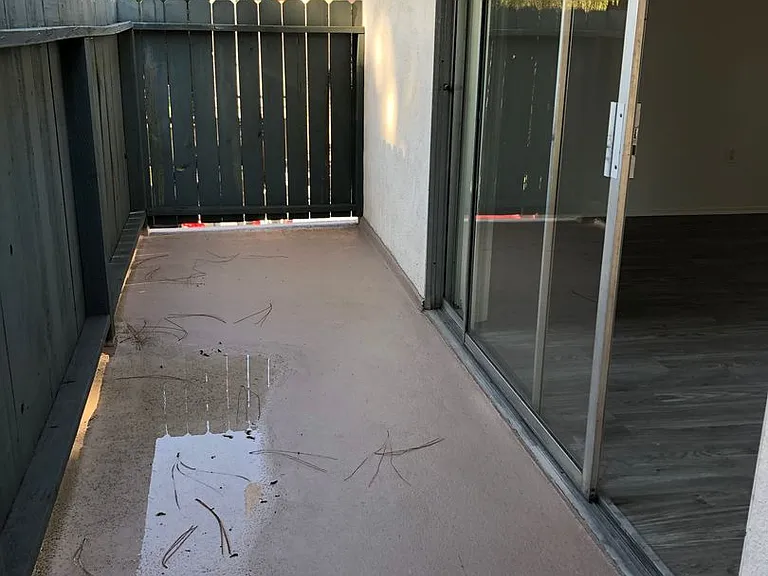saf2229 — Photo 8