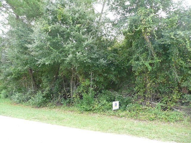 2nd image of 59 Fort Caroline Ln