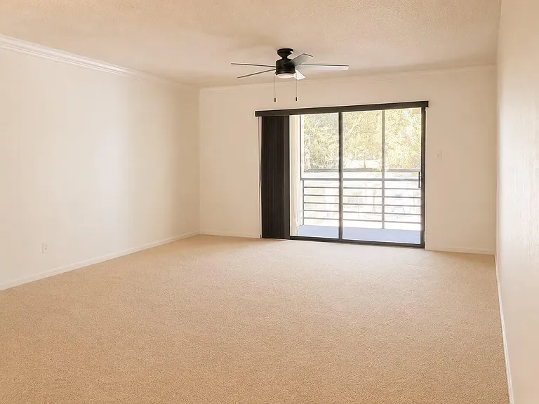 138 S Cypress Rd #223 — Photo 3