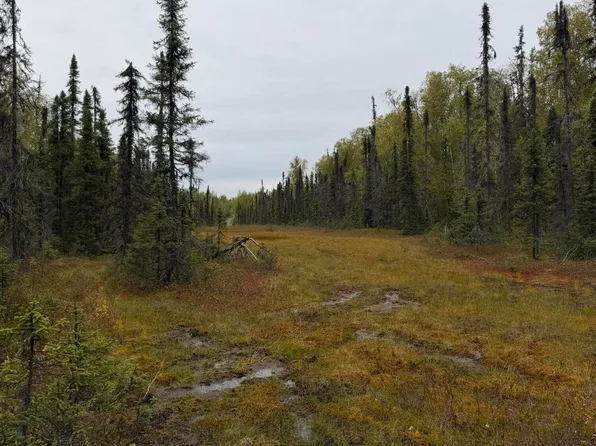 38554 S Malaspina Loop, Talkeetna, AK 99676