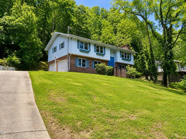 205 Tamassee Dr, Johnson City, TN 37601