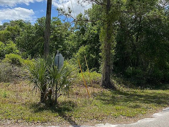 4th image of 856 Violet Dr