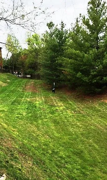 Dog run- Let your best friend get some exercise!