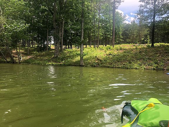 View from the shore of lot