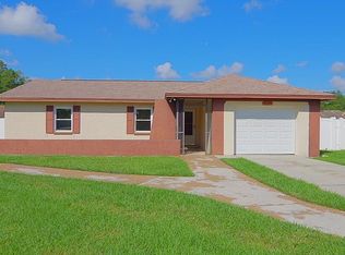 11204 Crossmill Dr, Tampa, FL 33625