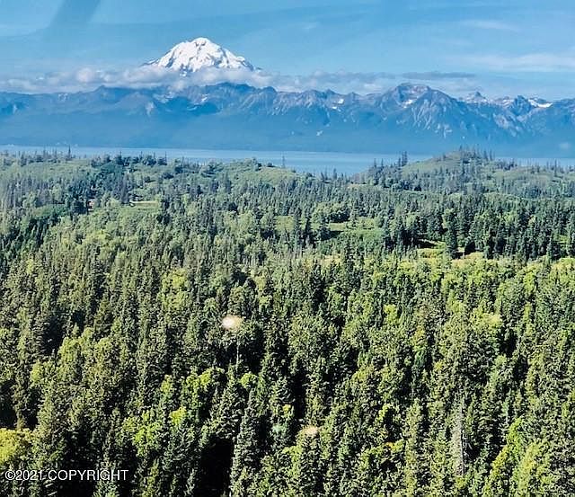 1st image of L22 Kalgin Island Ests