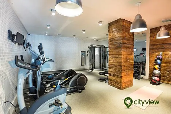 Rented by City View Living | media 15