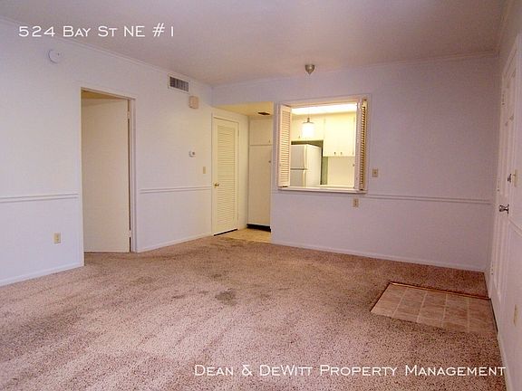 4th image of 524 Bay St NE APT 1