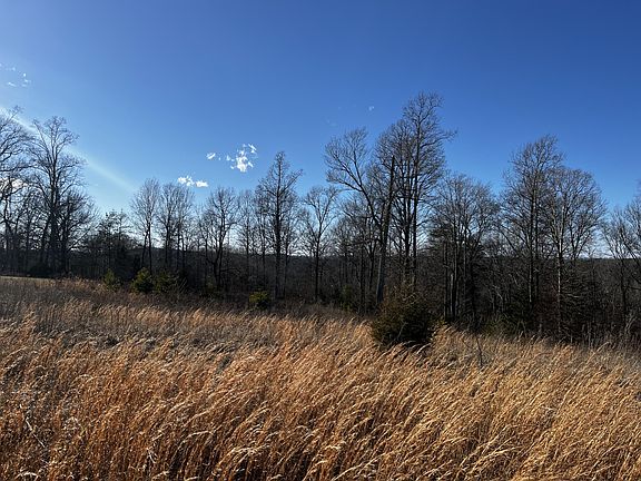 3rd image of 40 Melea Ln Lot 40