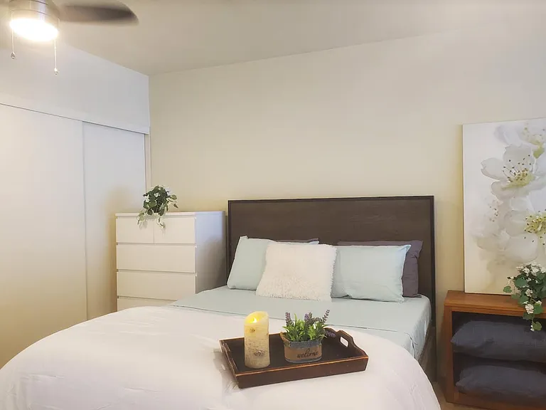 2-New Ceiling Fans