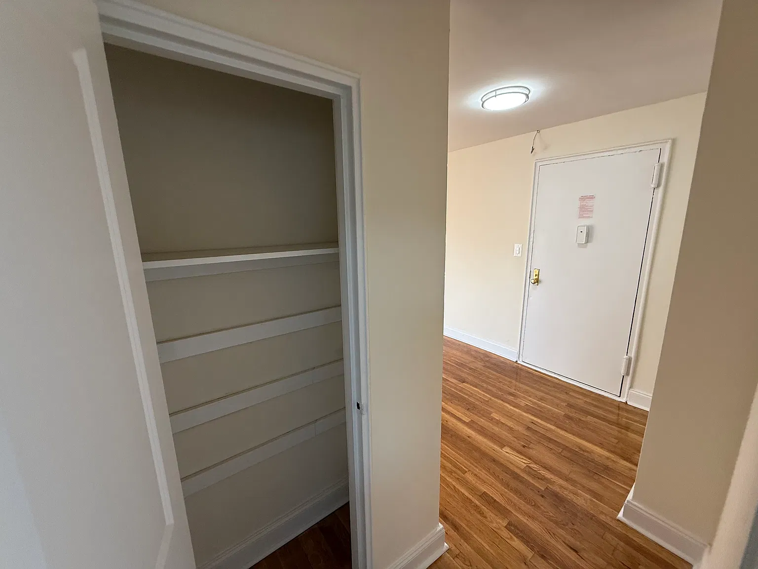 1 bed, 825 sqft, $2,399 — Photo 2