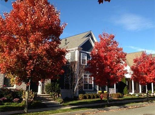 2nd image of 36 Maple Ln #36