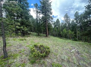 0 Insmont Ln, Florissant, CO 80816