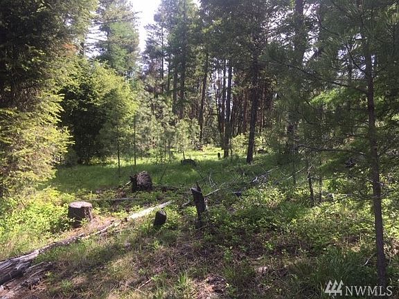 3rd image of 19 Morgan Mountain Trl