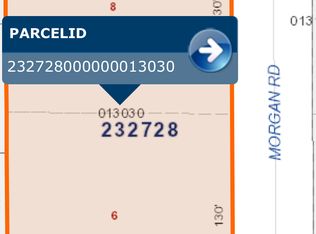 5330 Morgan Rd, Lakeland, FL 33810