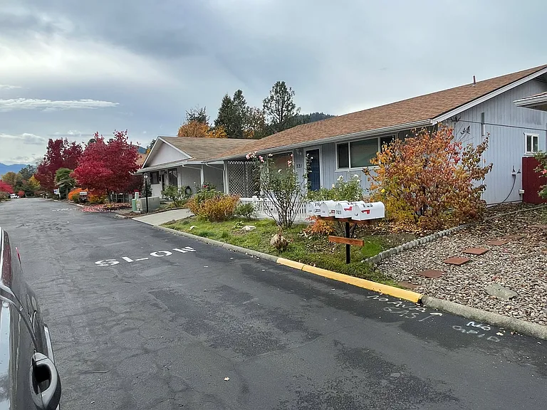 Front yard and street