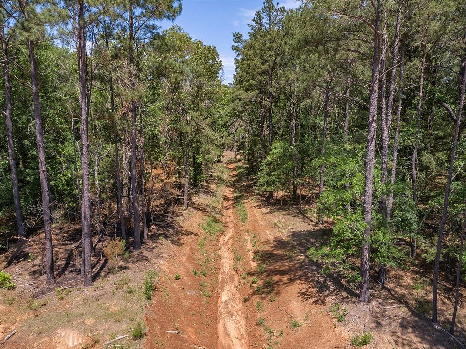 Vz County Road 4904, Ben Wheeler, TX 75754 Zillow