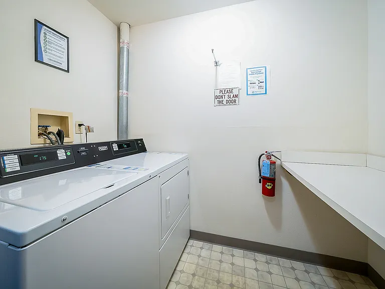 Dewberry - Laundry Dewberry - Laundry
