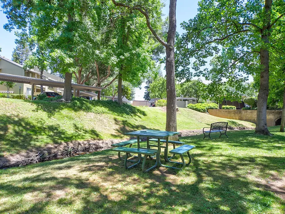 BBQ Picnic area Creekside