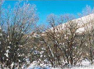 2nd image of 366 W Lime Canyon Rd #366