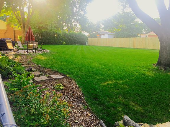 Back yard 