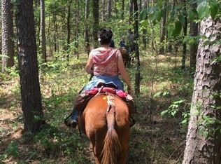 33610 Holson Valley Rd, Wister, OK 74966