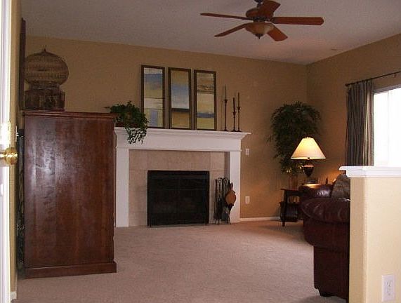 Family room fireplace