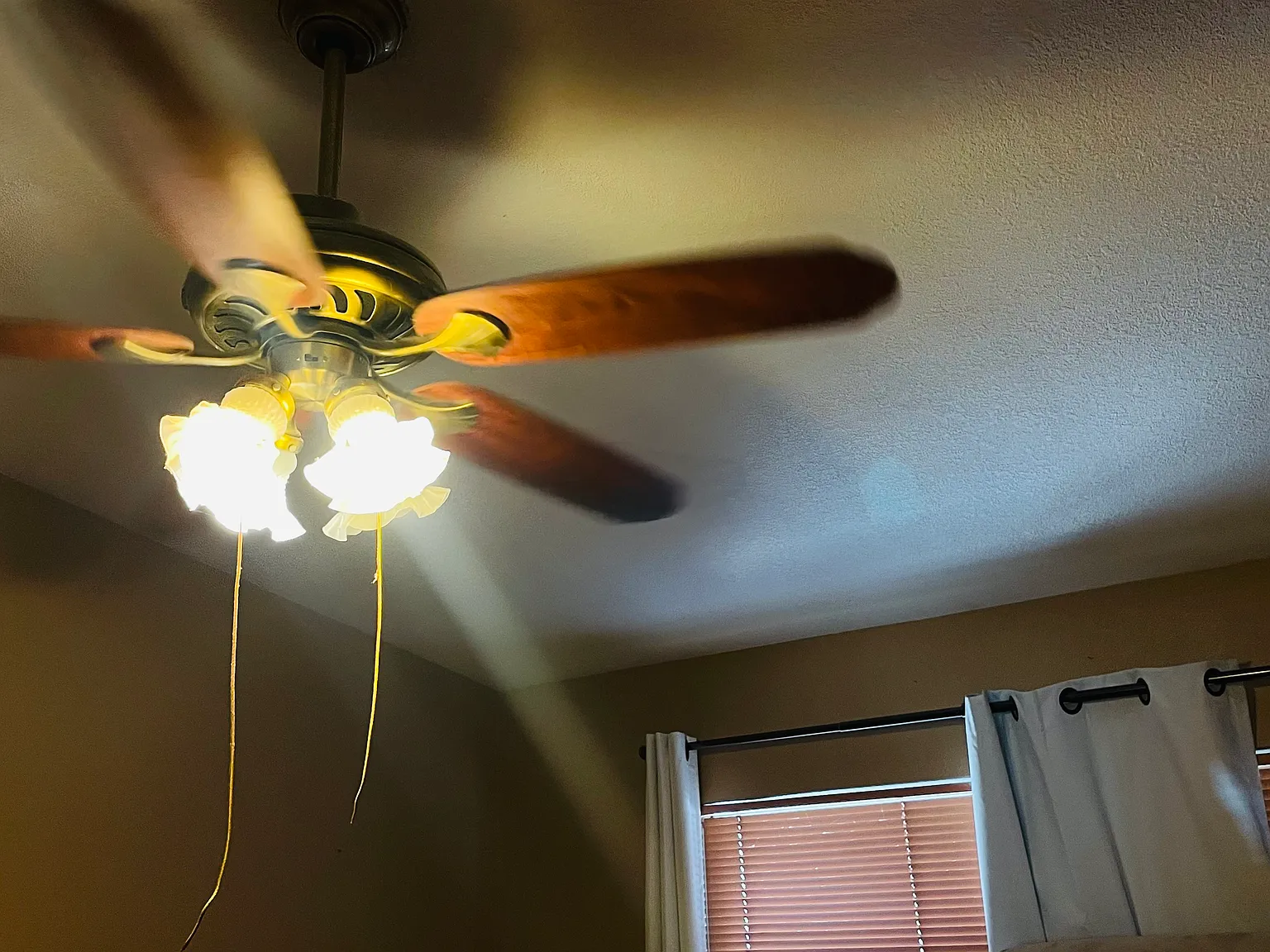 3 bed, 1589 sqft, $890 — Photo 3