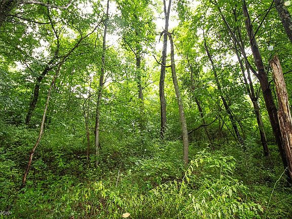 4th image of LOT 3 Meadowood Trl