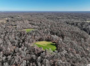 0 County Road 1320, Bardwell, KY 42023