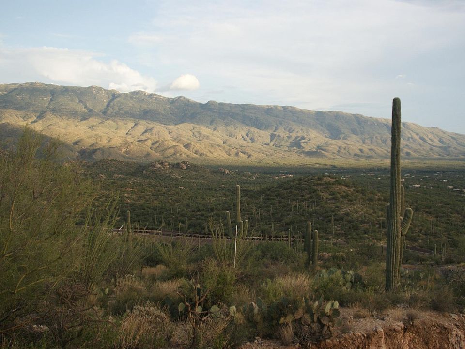 1st image of 3061 N Placita De Nazca Unit 3