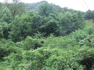 2780 Scenic Dr, Blue Ridge, GA 30513