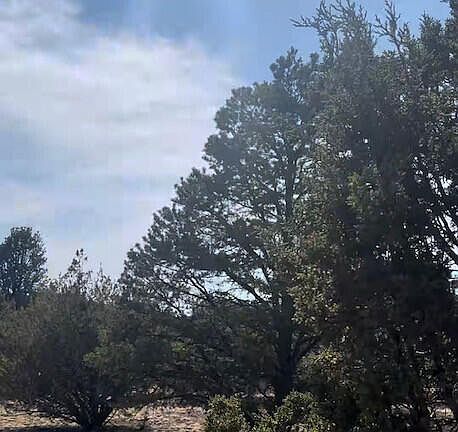 4th image of 1462 E Barbara Rd