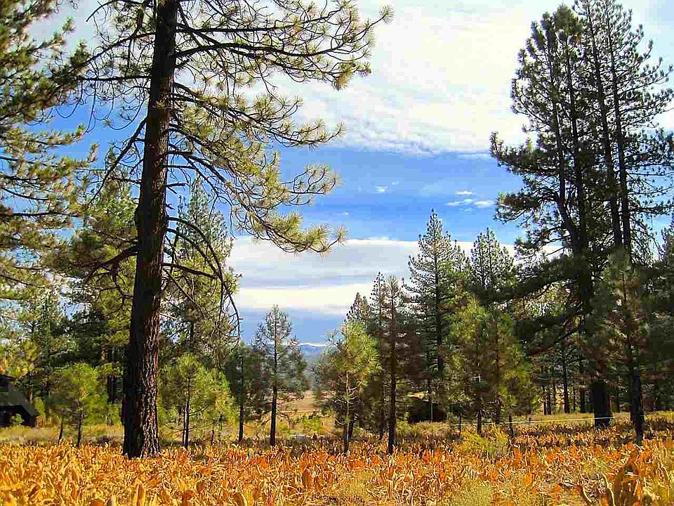 1st image of 7500 Lahontan Dr