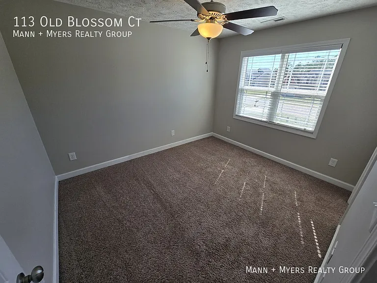113 Old Blossom Ct — Photo 28