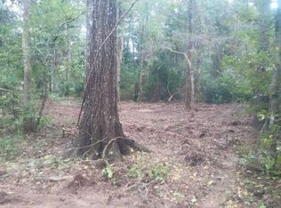 19652 Petty Walker Rd, Conroe, TX 77306