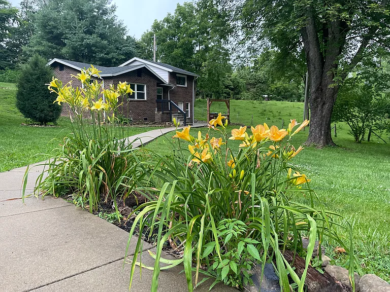 218 Nubbin Ridge Rd — Photo 12