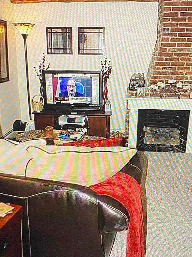 1 bed, 1.0 bath, 450 sqft, $1,995 — Photo 4