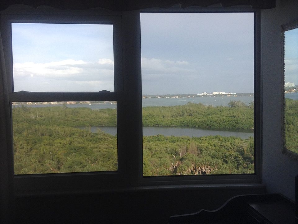 Window view