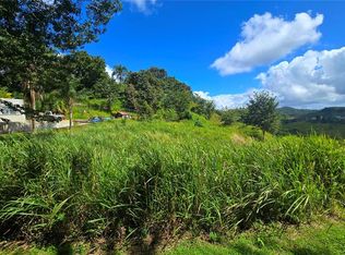 152 Quebradillas #3, Barranquitas, PR 00794