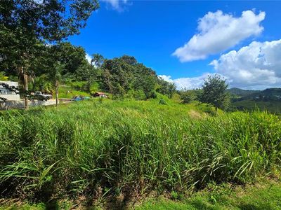 152 Quebradillas #3, Barranquitas, PR, 00794