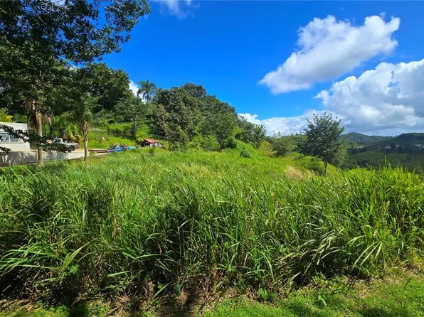 152 Quebradillas #3, Barranquitas, PR 00794
